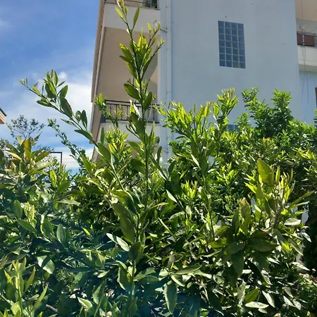 Dario's 2 * أوريكوم