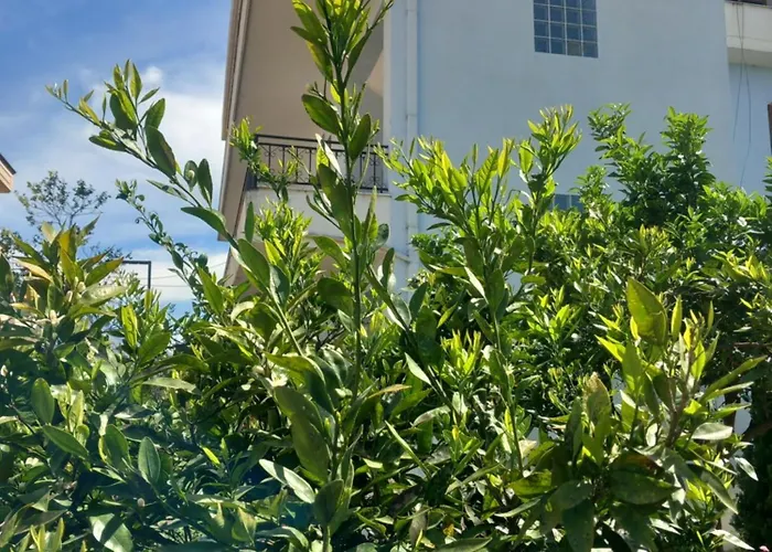 Dario's 2 * أوريكوم